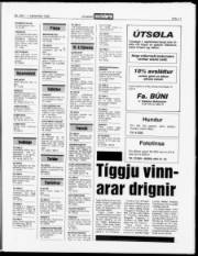 Síða 11