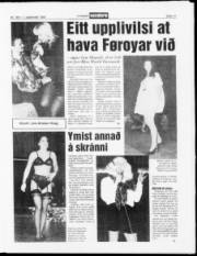 Síða 13