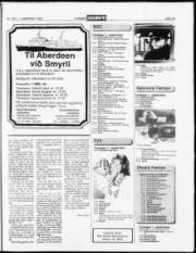 Síða 23