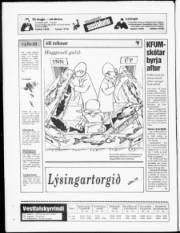 Síða 24