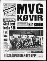 Síða 1