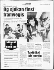 Síða 4
