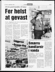 Síða 7