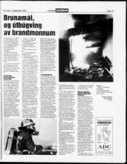 Síða 13