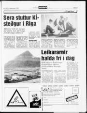 Síða 17