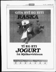 Síða 18