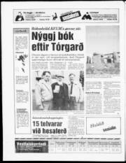 Síða 20