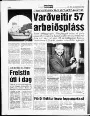 Síða 6