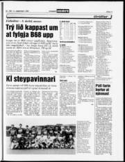 Síða 11