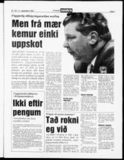 Síða 3