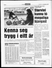 Síða 8