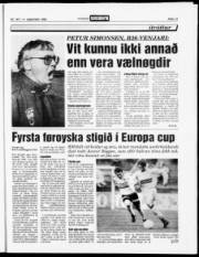 Síða 13
