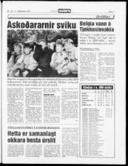 Síða 17