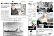 Síða 31