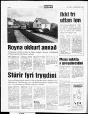 Síða 4