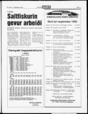 Síða 11