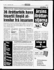 Síða 15