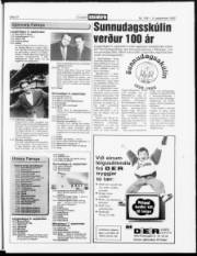 Síða 27