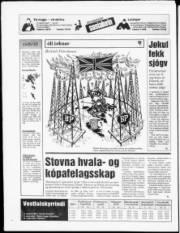 Síða 28