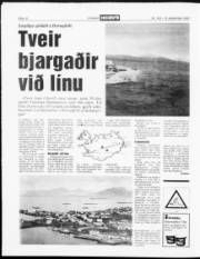 Síða 10