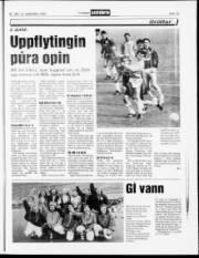 Síða 15