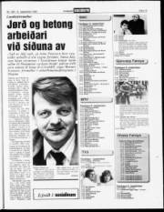 Síða 19