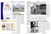 Síða 3
