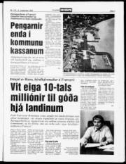 Síða 3