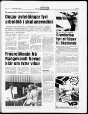 Síða 5