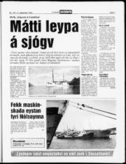 Síða 7