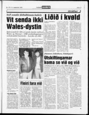 Síða 13