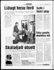 Síða 8
