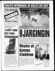 Síða 1