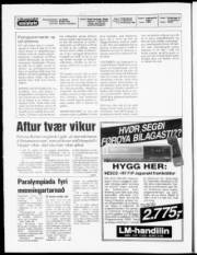 Síða 2
