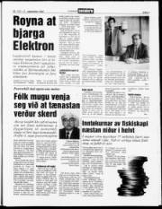 Síða 3