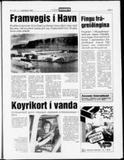Síða 5