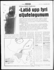 Síða 6