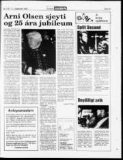 Síða 19