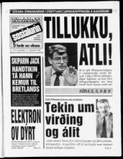 Síða 1