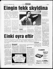Síða 3