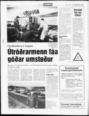 Síða 4
