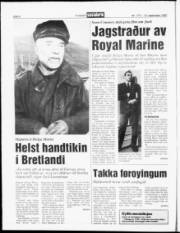 Síða 6