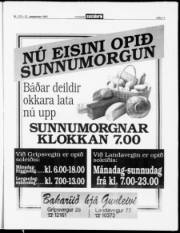 Síða 11