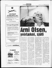 Síða 16