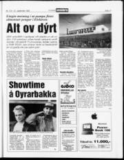 Síða 17