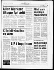 Síða 19