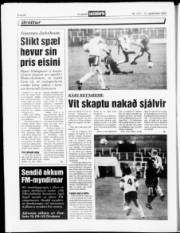 Síða 20