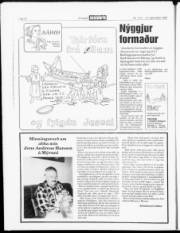 Síða 24
