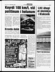 Síða 3