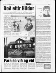 Síða 7